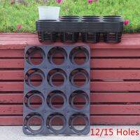 12/15 Hole Phalaenopsis Dedicated Bracket Nursery Pots Cell Seeding Starter Tray Environmental Friendly Degradable Sturdy