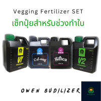 เซ็ตปุ๋ยสำหรับทำใบ Veg Set ธาตุเสริม AB +Cal-Mag Silica เร่งโต ใบเขียว ลำต้นใหญ่ Grow AB ขนาด 1 ลิตร บำรุงต้น แข็งแรง