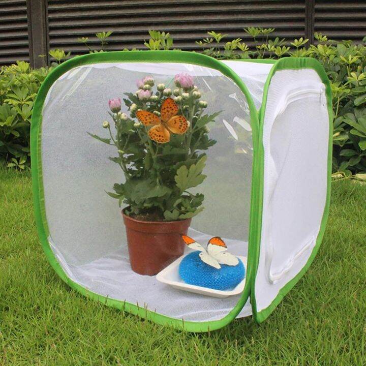 EQUOMT Foldable Portable Cocoon Silkworm Hatch Breeding Incubator Box