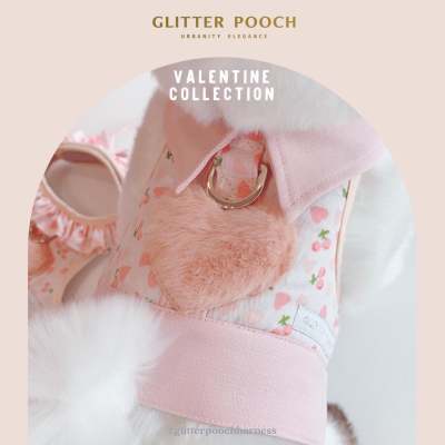 Glitter Pooch Harness ชุดรัดอก สายจูง เสื้อผ้า สุนัข, หมา, แมว, สัตว์เลี้ยง พร้อม สายจูง รุ่น Hearty Peachy Boy