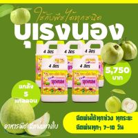 พร้อมส่ง? บุเรงนอง ยกลัง 5 แกลลอน ขนาด 4 ลิตร อะมิโนพืช+สาหร่าย+ไคโตซาน+น้ำตาลทางด่วน อาหารพืช ใช้ฉีดพ่นทางใบ ฉีดพ่น ได้ทุกพืช ฝรั่ง