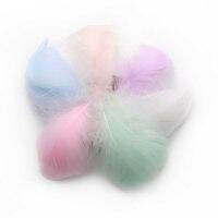 100pcs Feathers for Crafts 4-8cm Plumes Wedding Handicraft Accessories Decoration Catcher