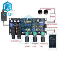 PT2399 Preamplifier Board คาราโอเกะ Reverberation Board NE5532 Op Amp DC 12-24V สำหรับ Moving-Coil ไมโครโฟน