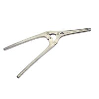 Stainless Steel Stomach Forceps Clamp Surgical Forceps Surgical Instruments