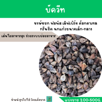 บัควีท  (แบ่งขาย 200-500G.) ฟอพัส เลิฟเบิร์ด ค็อกคาเทล นกแก้วขนาดเล็ก-กลาง แฮมสเตอร์