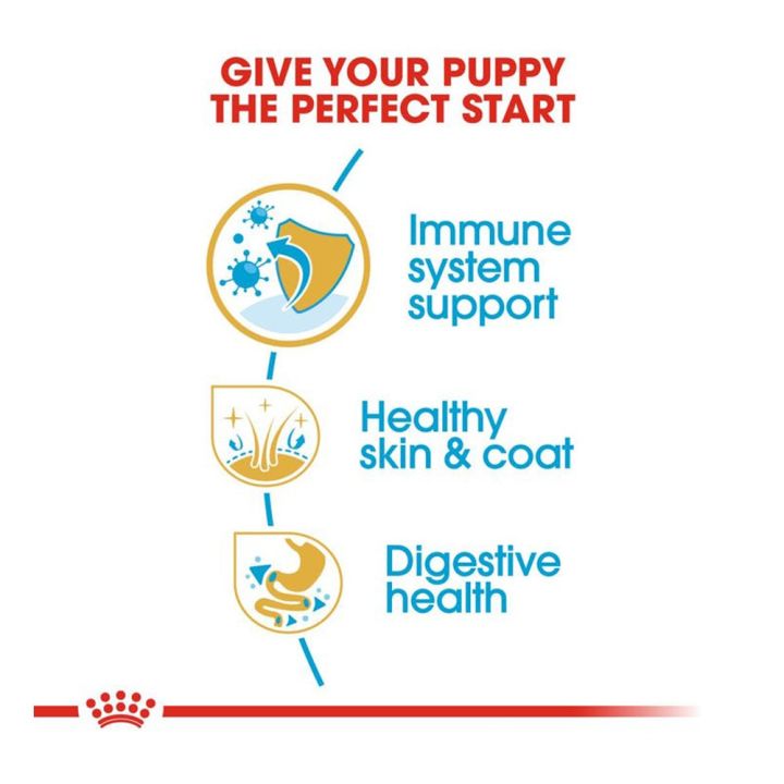 3kg-x3-อาหารลูกสุนัขโกลเด้น-royal-canin-golden-retriever-puppy-สำหรับลูกสุนัขพันธุ์โกลเด้นรีทรีฟเวอร์-อายุ-2-15-เดือน