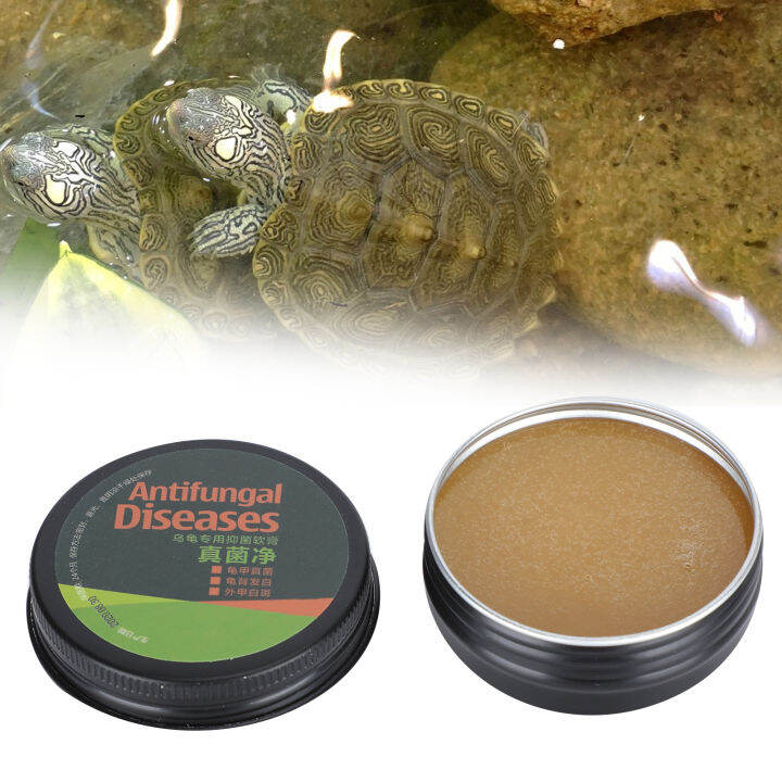 Fungus White Spot Remover Convinient Safe Tortoise Skin Cream Pratical