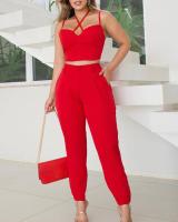 Crisscross Halter Crop Top &amp; Pants Set Chic Fashion Summer Daily Casual Sleeveless Halter High Style Form-Fitting Woman