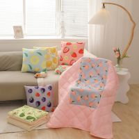 ﹉☇✻ Cartoon Fruit Pattern Travel Blanket Pillow 2 In 1 Airplane Car Traveling Essentials Throw Blanket for Home Office Camping Train