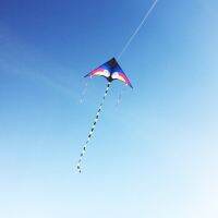 Large Colorful Rainbow Kite Deltas Long Tail Nylon Outdoor Surf Kid Toys Flying Kid With Kite Kites Kids Outdoor Toys