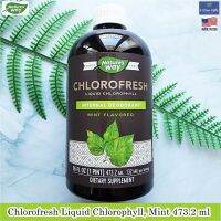 คลอโรเฟรช แบบน้ำ Chlorofresh Liquid Chlorophyll Unflavored 480 ml or Mint flavored 473 ml - Natures Way