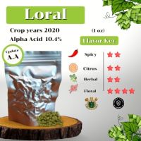 Loral Hops (1oz) Crop years 2020 (บรรจุด้วยระบบสูญญากาศ)