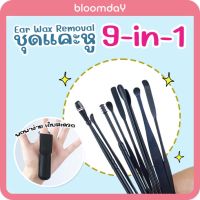 ชุดไม้แคะหู ไม้ปั่นหู Ear Pick Set 9in1 วัสดุแสตนเลส ครบชุด แบบเกลียว แบบปั่น ทำความสะอาดหู พร้อมซองหนัง 1 ชุด Bloomday