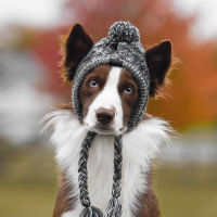 Warm Small Dog Hat Winter Chihuahua Puffball Cap Windproof French Bulldog Medium Dogs Cats Hat Decorative Pet Accessories