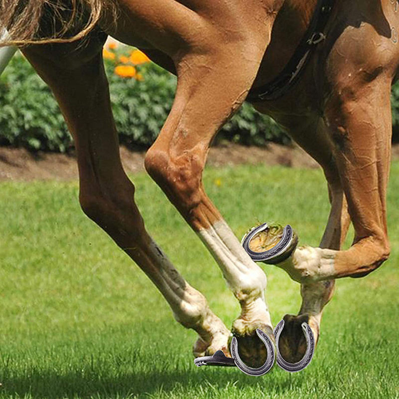 Sturdy Has A Long Service Life Horse Racing Horseshoe Kit Number 6 Horseshoe Wear Resistant for Horse Racing 