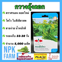 ผักซอง ศรแดง ผักกาด กวางตุ้งดอก สองฝั่งโขง จำนวน 5,000 เมล็ด/ซอง ลอตใหม่ งอกดี ปลูกง่าย โตเร็ว ต้นใหญ่ ใบสีเขียวสด ช่อใหญ่ ระยะเก็บ 33 วัน