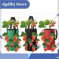 Dgdfhj Shop 3 Gal 12 Holes Strawberry Grow Pot Bags Plants Flower Tomato Growing Garden Wall Hanging Vegetable Root Planting Her