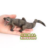 Animal Kingdom - โมเดล Crocodile จระเข้ ขนาด 20.50 CM (จากสงขลา)