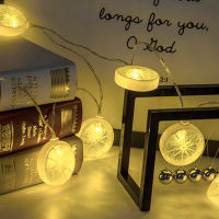3M Lemon String Light 8 Lighting Modes Christmas Decoration Lamp Indoor Lighting USB Plug and Play Light String for DoorPorch