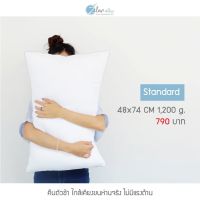 Zleepsleep: หมอนขนห่านเทียม รุ่น Standard Firm  (ขนาด48x74cm)