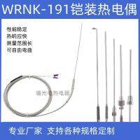 ✹ K-type armored thermocouple WRNK-191 needle type probe temperature sensor bendable PT100/E