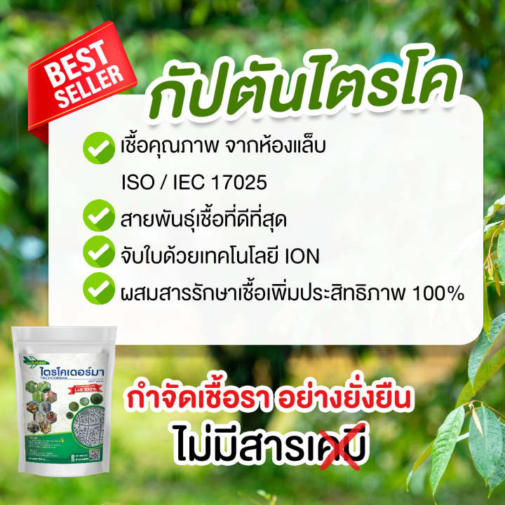 ซื้อ1เเถม1-ไตรโคเดอร์มา-ของเเท้100-กัปตันไตรโค-กัปตันเมธาบิว-500-กรัม-ฆ่าโรคเชื้อราเเละยากำจัดแมลงบิวเวอร์เรีย-เมธาไรเซียม-ปลอดภัย-2ซอง