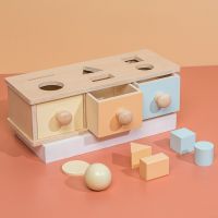 、‘、。； Montessori Wooden Toys Coin Box Color Ball Permanent Box Classification Geometric Pairing Sensory Training Toys For Kids Gift