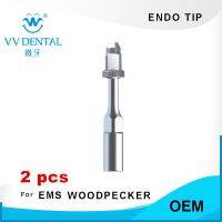 ตัวยึดไฟล์สเกลเลอร์ปลายเอ็นโดดอนติกส์ EMS WOODPECKER SYBRONENDO DMETEC Piezo MICRODONT