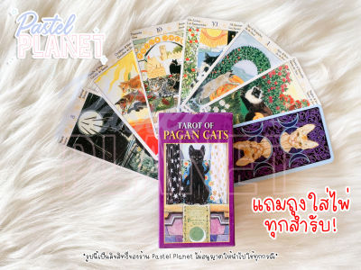 [พร้อมส่ง🇹🇭] แถมคู่มือไทย/อังกฤษ Tarot of Pagan Cats ไซส์ Mini ไพ่ยิปซี ไพ่ทาโรต์
