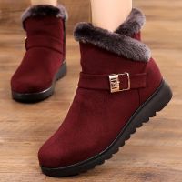 Women Winter Plush Inside Ankle boots Females Side Zippers Fashionable Snow Boots Ladies 2021 Non-slip Warm Casual shoes