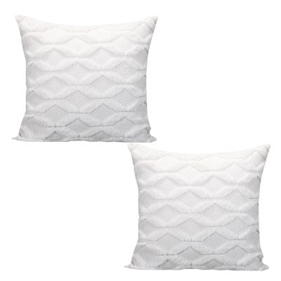 Pack of 2 Soft Plush Decorative Throw Pillow Covers Cushion Case Pillow Shell for Sofa Bedroom Square 18X18 Inch