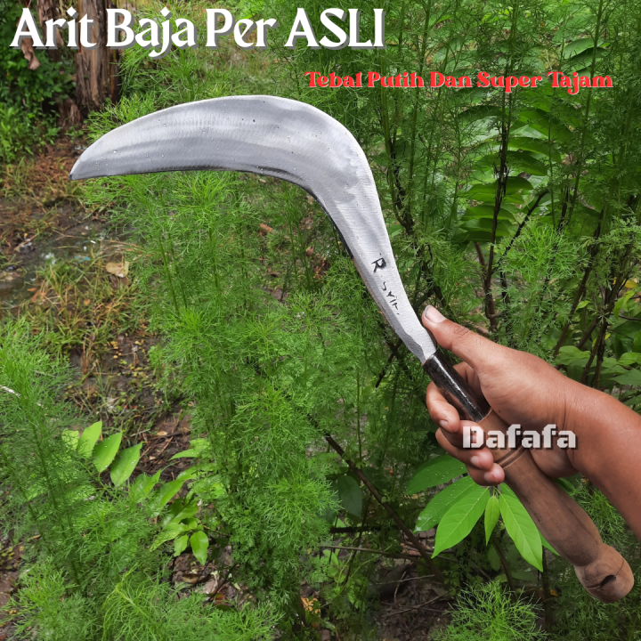 Arit Baja Per Tebal Putih Dan Super Tajam Arit Potong Rumput Dan Padi Tajam Siap Pakai Sabit 3060