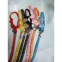 cute leash with bow collar and bell, small dog collar with dog chain, dog leash, cat leash 1.0 width for weight within 4kg