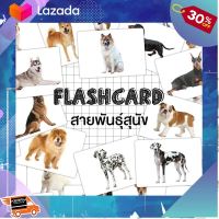 [ Gift เกมฝึกสมอง..เสริมสร้าง ] Flash card Dog breeds (แฟลชการ์ดสายพันธุ์สุนัข) KP044 ..เหมาะเป็นของฝากของขวัญได้ Gift Kids Toy....