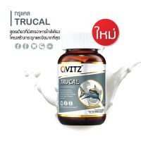 Qvitz TRUCAL 30 เม็ด ผงกระดูกอ่อนปลาฉลามบำรุงกระดูก มีแมกนีเซียม วิตามินดี3 ช่วยในการดูดซึมเพิ่มประสิทธิภาพ