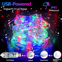 Dream Color Curtain Lights 5M 10M 15M 20M USB Powered RGBIC String Lights For Christmas Holiday Garden Party งานแต่งงาน Lighting