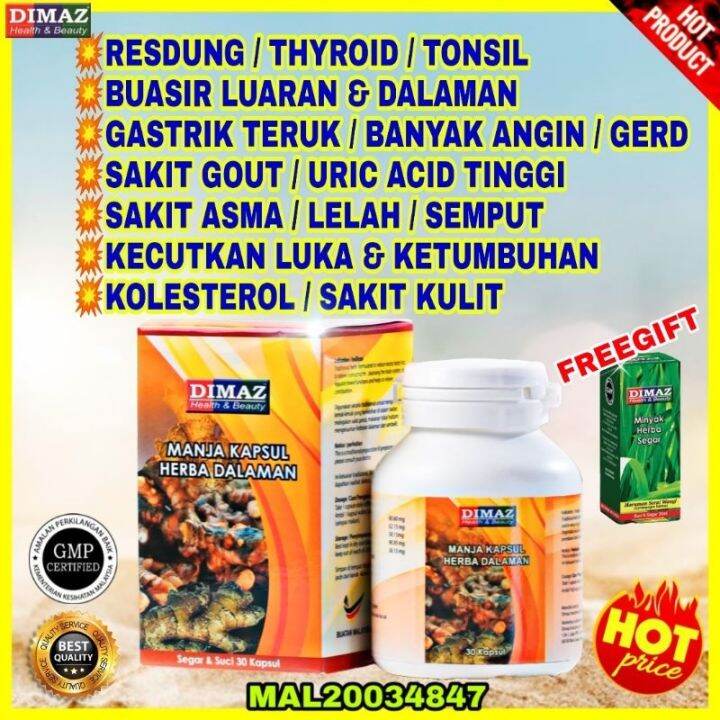 Big Promo UBAT GASTRIK OBAT RESDUNG SINUS BUASIR GOUT URIC ACID ...