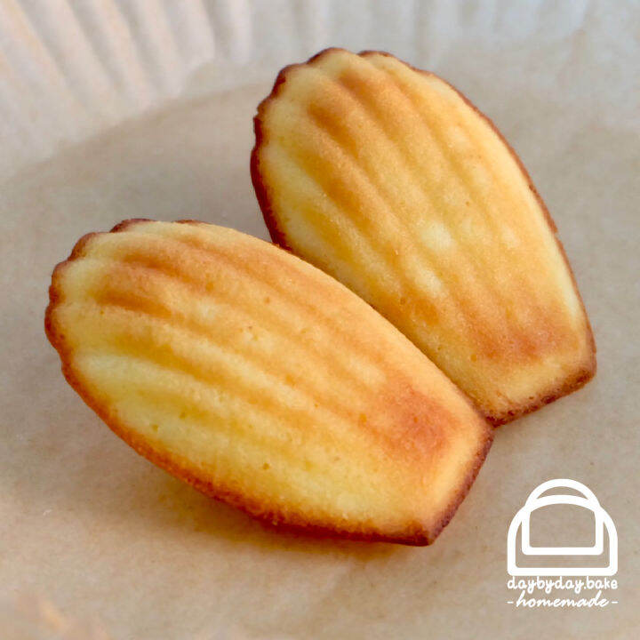 madeleine-มาเดอลีน-ขนมไข่ฝรั่งเศส-หอมเลม่อน-ชุ่มเนย