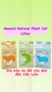 Cát Đậu Nành Moew s 2.5kg - Cát Vệ Sinh Cho Mèo Moew