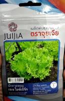 เมล็ดพันธุ์ ผักกาดหอม?ผักสลัด ?ฟิลไอซ์?เจเจ ไอซ์เบิร์ก?บรรจุประมาณ 400 เมล็ด