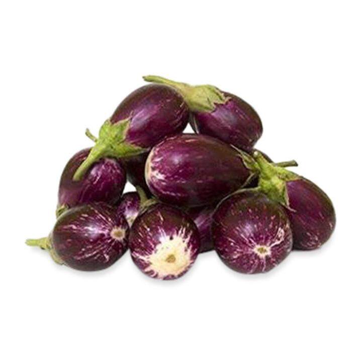 India Fresh Brinjal Purple | Lazada Singapore