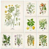 Vintage Botanical พิมพ์โปสเตอร์ Retro Plant ดอกไม้ Study Wall Art Decor สำหรับห้องนั่งเล่น Aesthetic Home Decoration