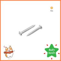 สกรูเกลียวปล่อย TP DEXZON 7X1 นิ้ว 25 ตัวSELF-TAPPING SCREW TP DEXZON 7X1IN 25PCS **สอบถามเพิ่มเติมได้จ้า**