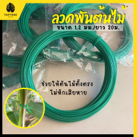 [ส่งฟรี] ลวดมัดกิ่งไม้ 20m. ลวดมัดต้นไม้ ลวดมัด ลวดมัดต้นบอน ลวดรัดต้นไม้ ลวดดัดต้นไม้ ลวดดัดบอนสี ลวดดัดกิ่งไม้ ลวดดัดdiy ลวดพันต้นไม้