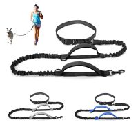 High Qulity Retractable Hands Free Dog Leash For Running Dual Handle Bungee Leash Reflective For Large Dogs Pet Supplies Leashes