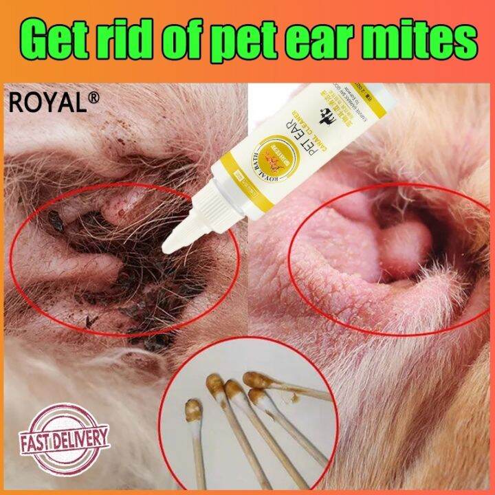 Anti Ear Mites Anti Fungal Antibiotic Ear Drops for Dogs and Cats