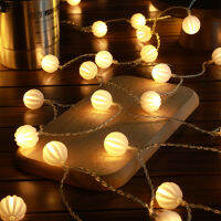 3M LED Balls String Lights Outdoor Ball Chain Light Garland Lamps Bulb Fairy Lighting Strings หน้าแรกงานแต่งงานตกแต่งสวน