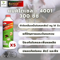 แบคโตเซล 4001 Bactocel 4001 ขนาด 300 ml. 5 ขวด ดับกลิ่นเหม็นคอกสัตว์ จุลินทรีย์คอกสัตว์  ยาดับกลิ่นคอกสัตว์ จุลินทรีย์กำจัดกลิ่น ดับกลิ่นคอกสัตว์