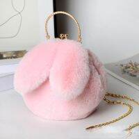 2021 New Shoulder Female Messenger Purses Soft Ears Crossbody for Sac A Main