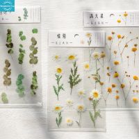 WT【Fast Delivery】PET Daisy Iris Eucalyptus Globulus ดอกไม้ Serie Bullet Journal ตกแต่งเครื่องเขียนสติกเกอร์ Scrapbooking DIY ไดอารี่อัลบั้ม Stick1【cod】